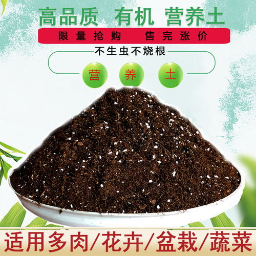 花土营养土种植土通用型多肉营养土绿萝专用土花泥种菜种花营养土