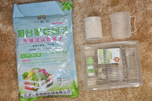 陪孩子上堂种植课 一米田智能种植伴侣