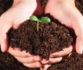 都知道生物菌肥好,但你知道怎么用吗