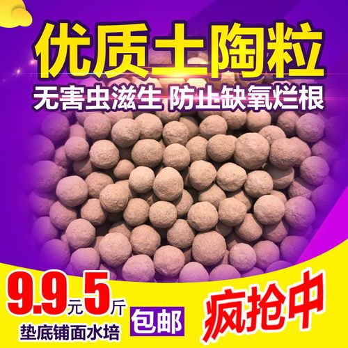 绿多肉植物土颗粒土营养土陶粒麦饭石火山石天然绿沸石铺面土吸氨