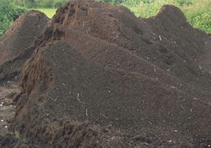 巢湖草炭土厂家 巢湖草炭土批发 巢湖草炭土加工