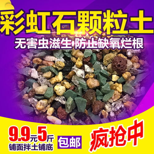 绿多肉植物土颗粒土营养土陶粒麦饭石火山石天然绿沸石铺面土吸氨