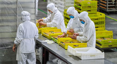 食品厂选择哪种锅炉合适 什么是承压锅炉 什么是常压锅炉