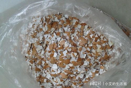 买什么营养土,这5种掺一起,比营养土好10倍,养什么花都疯长