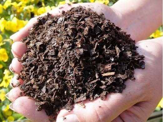 不花一分钱,自制养花营养土,松软没害虫,营养肥力足,养啥爆啥