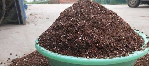 2位高材生1年卖 土 做到行业老大,一般人没发现,1月赚4000万