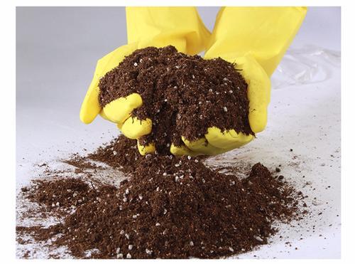 昂贵的营养土,调配有秘方,3种材料一搭配,就是万能养花土