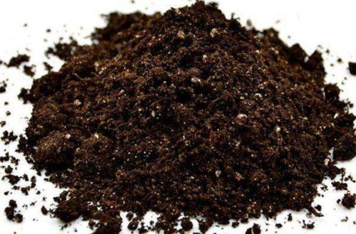 在家制作营养土,加上3种 废弃物 ,松软透气 营养成分多