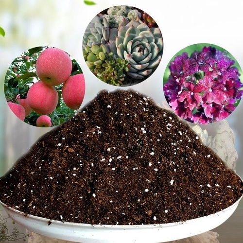花土营养土种植土通用型多肉营养土绿萝专用土花泥种菜种花营养土