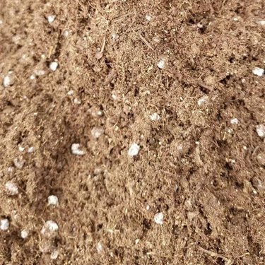 园林绿化营养土多少钱一吨