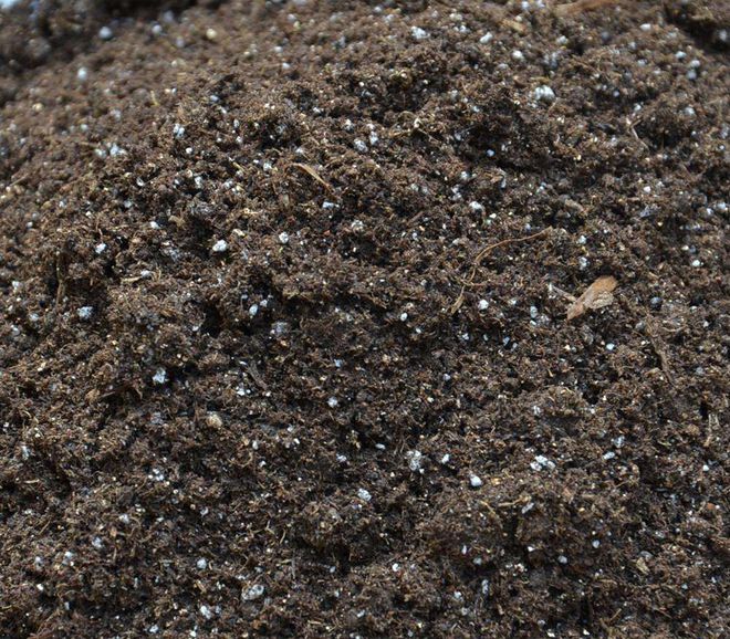 栽种多肉植物的“常用土壤种类”你知道的有哪些?