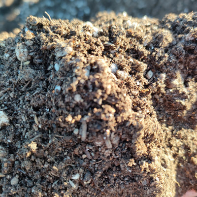 供应散多肉花卉松针土腐殖土栽培扦插基质营养土