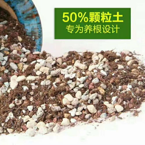 多肉植物营养土彩虹石兰花土泥炭土铺面石麦饭石火山岩5斤防烂根