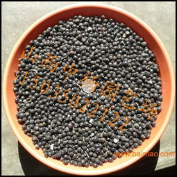 批优质北栾种子,南栾种子15吨,欲购从速,物优价廉,批优质北栾种子,南栾种子15吨,欲购从速,物优价廉生产厂家,批优质北栾种子,南栾种子15吨,欲购从速,物优价廉价格