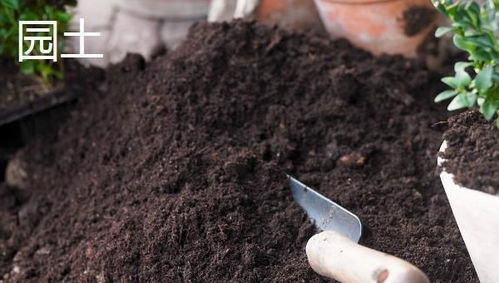 家庭盆栽选用的土壤类型,腐殖土 园土和沙土的使用建议