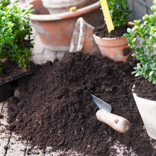 家庭园艺用品肥料种植营养土花卉有机肥通用型花肥种菜种花营养土
