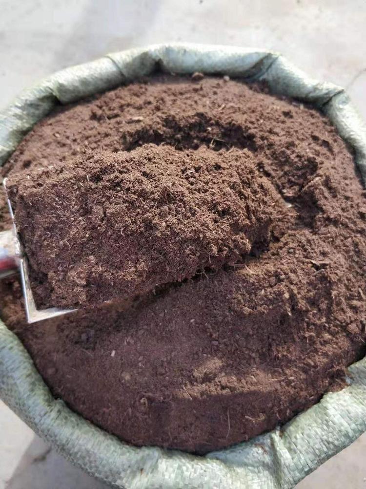 草炭土 泥炭土 营养土 育苗基质厂家直销