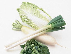 几月份种白菜 萝卜