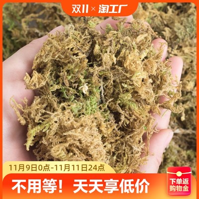 当前网购流行产品
