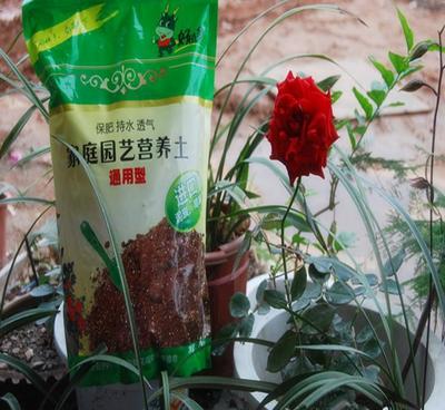 花土营养土花卉盆栽盆景 阳台屋顶家庭园艺 内含花肥 6升装