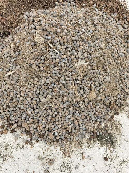 营养土不用买,3种 废物 掺一掺,肥的流油,养花一级棒