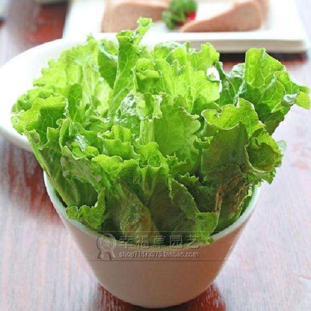 蔬菜盆栽器具和营养土准备