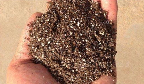 换盆后,这样做,旧土 秒变 营养土,又省了一波买土钱 土壤