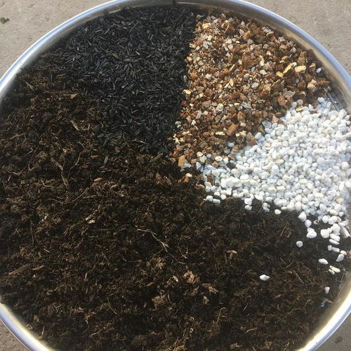 2位高材生一年卖“土”做到行业老大，月赚4000万的营养土生意，你看懂了吗？