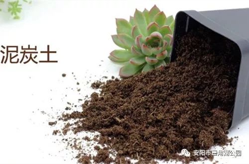 花卉营养土的科学配制方法