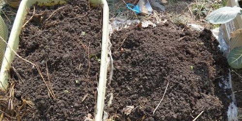 几个小动作，让贫瘠板结的旧土回魂，胜过高价营养土