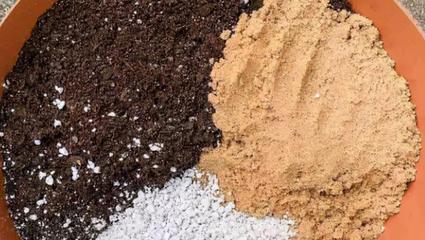 养花其实不用买土，这么配置万能营养土，有营养又透气