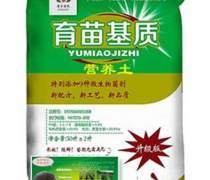 永安育苗基质 选购指南与市场动态