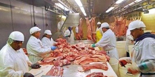 巴西拿下中国47.9万吨猪肉超大订单，猪农迎来曙光与营养土新机遇