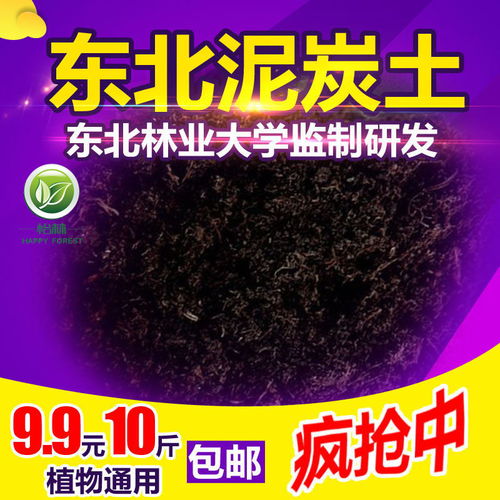 多肉植物专用营养土的全面解析与使用指南