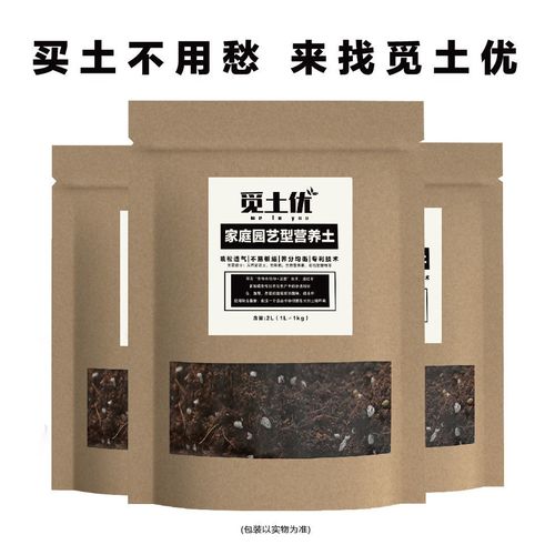 花盆底部垫料选择指南 科学搭配营养土，助力植物健康生长