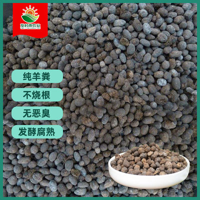 及时雨发酵羊粪蛋纯鸡粪兰花腐殖土——营养土优选与好评好店推荐