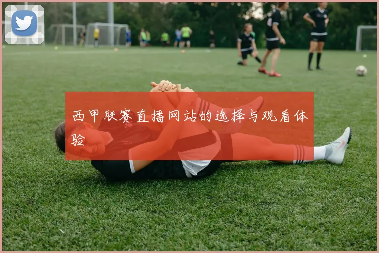 西甲联赛直播网站的选择与观看体验