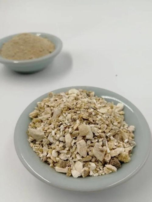 什么腐叶土 营养土,都不如 这些垃圾 ,讨花草喜欢