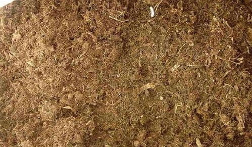 教你搭配养分高的营养土,几种土壤搭配在一起,养花超级好用