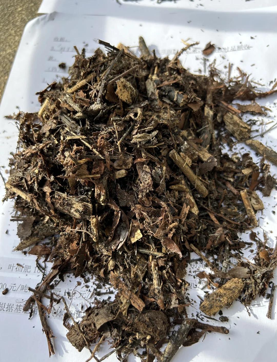 纯药渣发酵的营养土 环保与高效农业的新选择