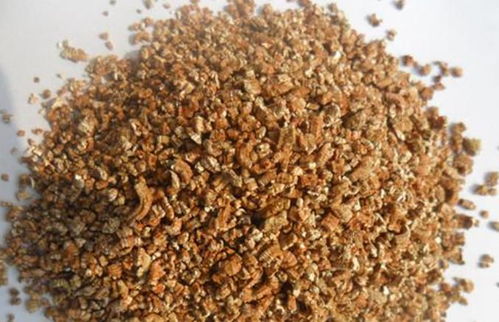 自制营养土，打造理想家园 三种材料轻松调配专属配方