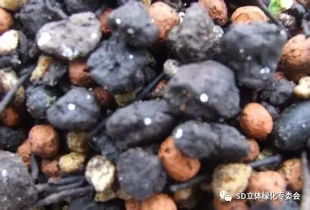 最全的花卉营养土基质材料及功效作用指南，园艺爱好者必收藏