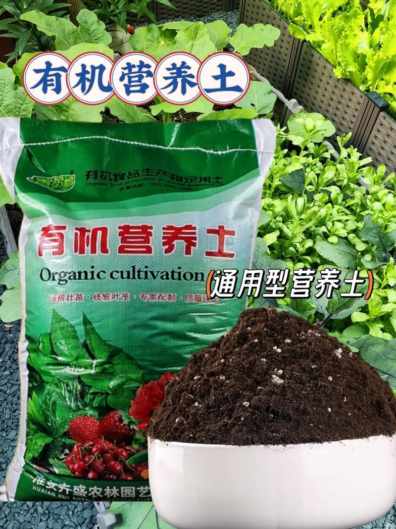 养花种菜通用型有机营养土 打造绿色家园的基石